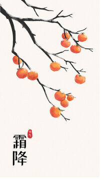 秋天柿子樹(shù)水彩畫(huà)霜降節(jié)氣插畫(huà)