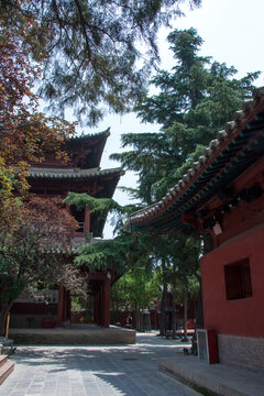 普救寺建筑风景