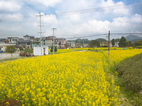 春日浙西田园风光3