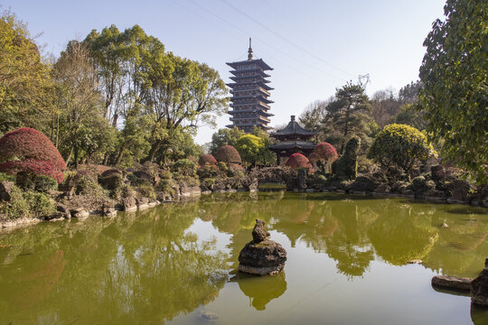 根宫佛国文化旅游区风光4