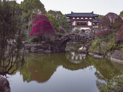 根宫佛国文化旅游区风光36