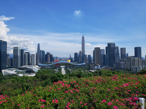 鸟瞰深圳市