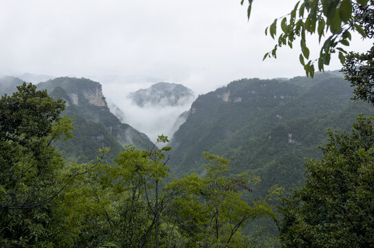 云雾山中