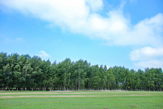 沽源草原