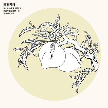 手繪水蜜桃插畫