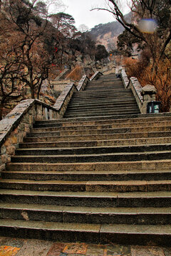 泰山登山道