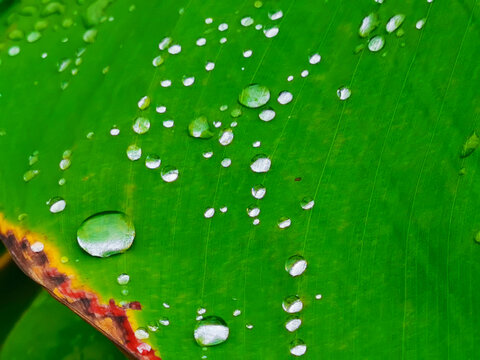 雨后