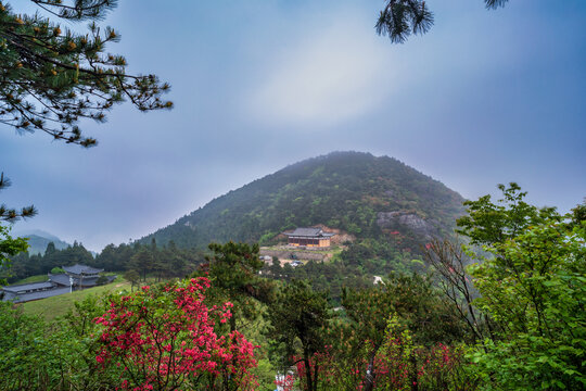 浙江磐安高姥山风景区春天风光