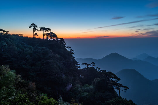 三清山三清松松树剪影风光