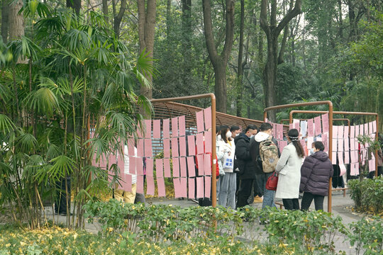 成都人民公园一角的相亲角