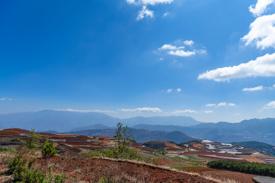 东川红土地