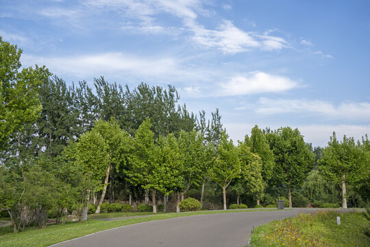 道路