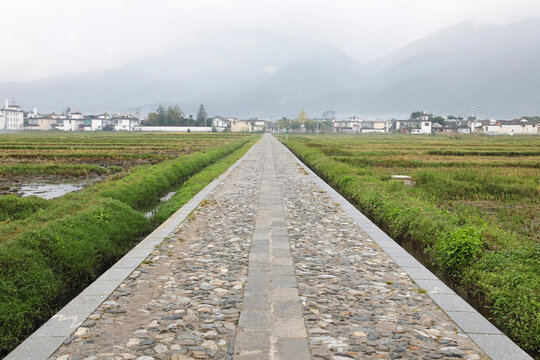 通往乡村的道路