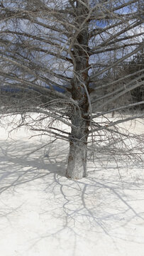 玉龙雪山