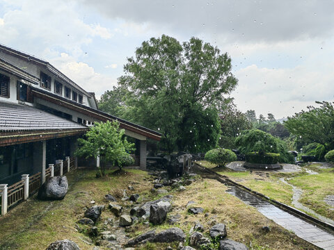 雨下明月山