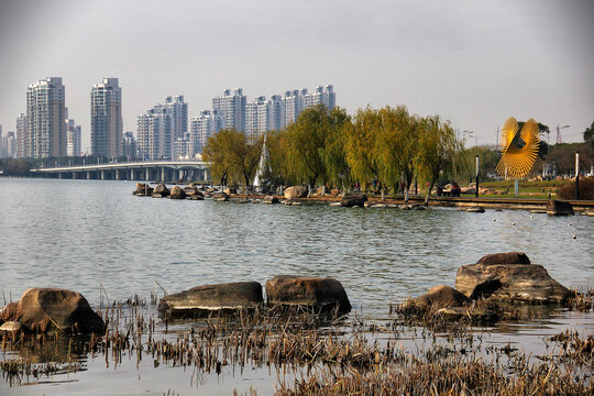 苏州金鸡湖畔现代都市