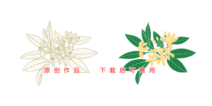 橙花