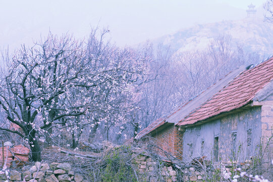 小山村