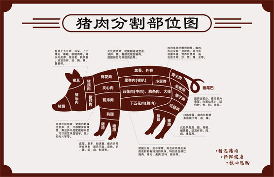 猪肉部位分割图分解图