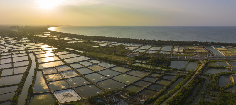 海南海口塔市虾塘