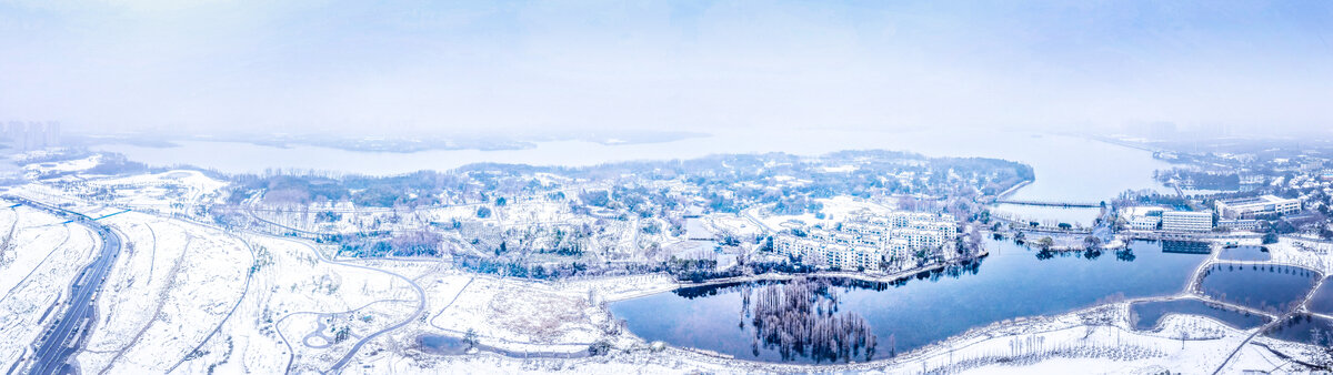 合肥植物园雪景