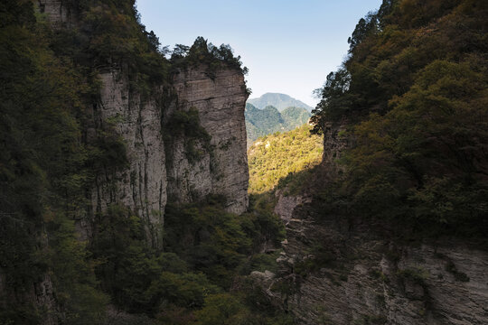 大山深处宣传画