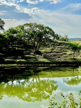 草原风景自然风景