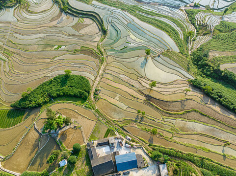 红渡梯田