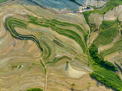 红渡梯田