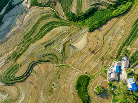 红渡梯田