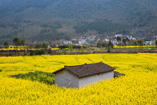 美丽乡村