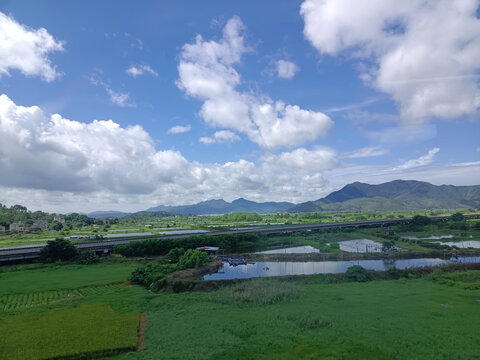 草原