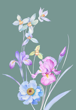 鳶尾花手繪