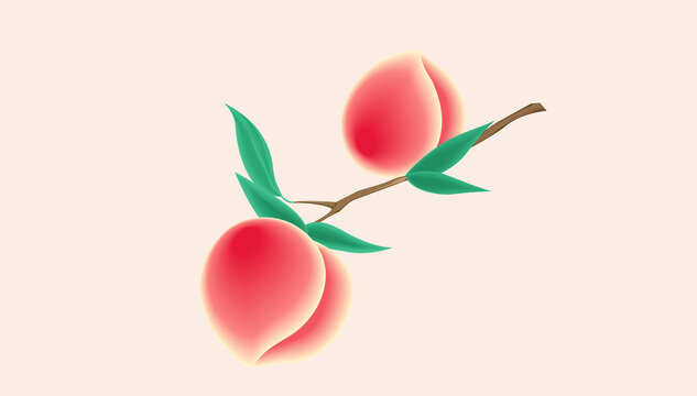 枝叶上的两个新鲜桃子