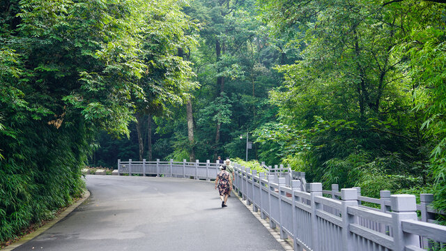 雅安碧峰峡基地