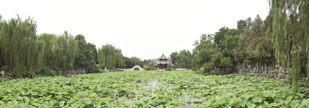 古莲花池荷花池