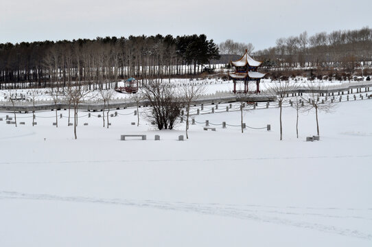 雪后公园
