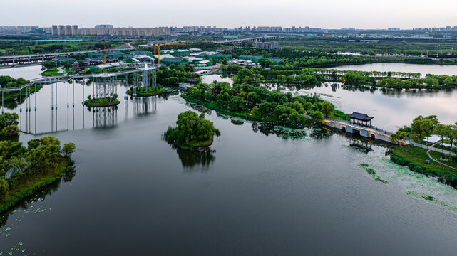 夏日里的中国长春北湖湿地公园