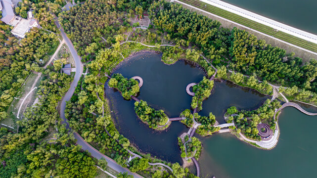 夏日里的长春净月潭公园风景