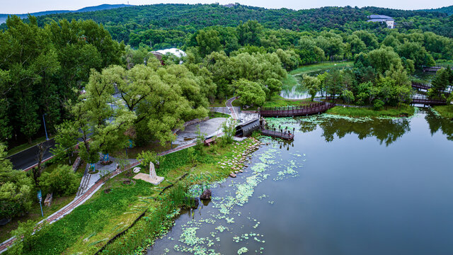 夏日里的长春净月潭公园风景