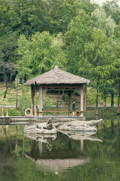 亲水景区