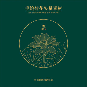 線描荷花
