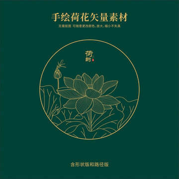 金線荷花