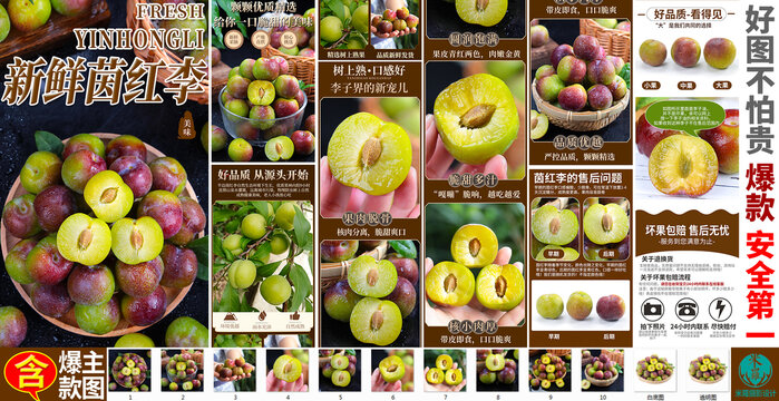 茵紅李詳情頁