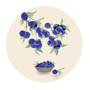 藍莓圓形小品