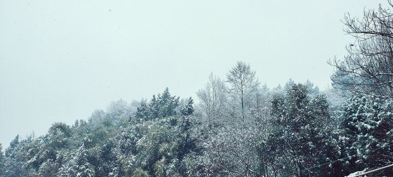 山间的雪景