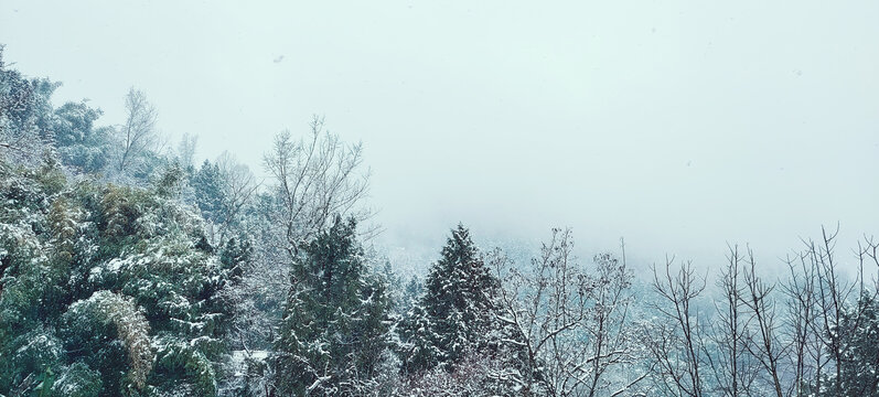 山间的雪景