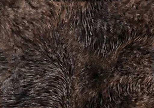 動物毛發(fā)紋理