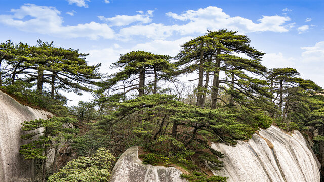 天柱山风景