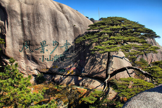 黄山迎客松